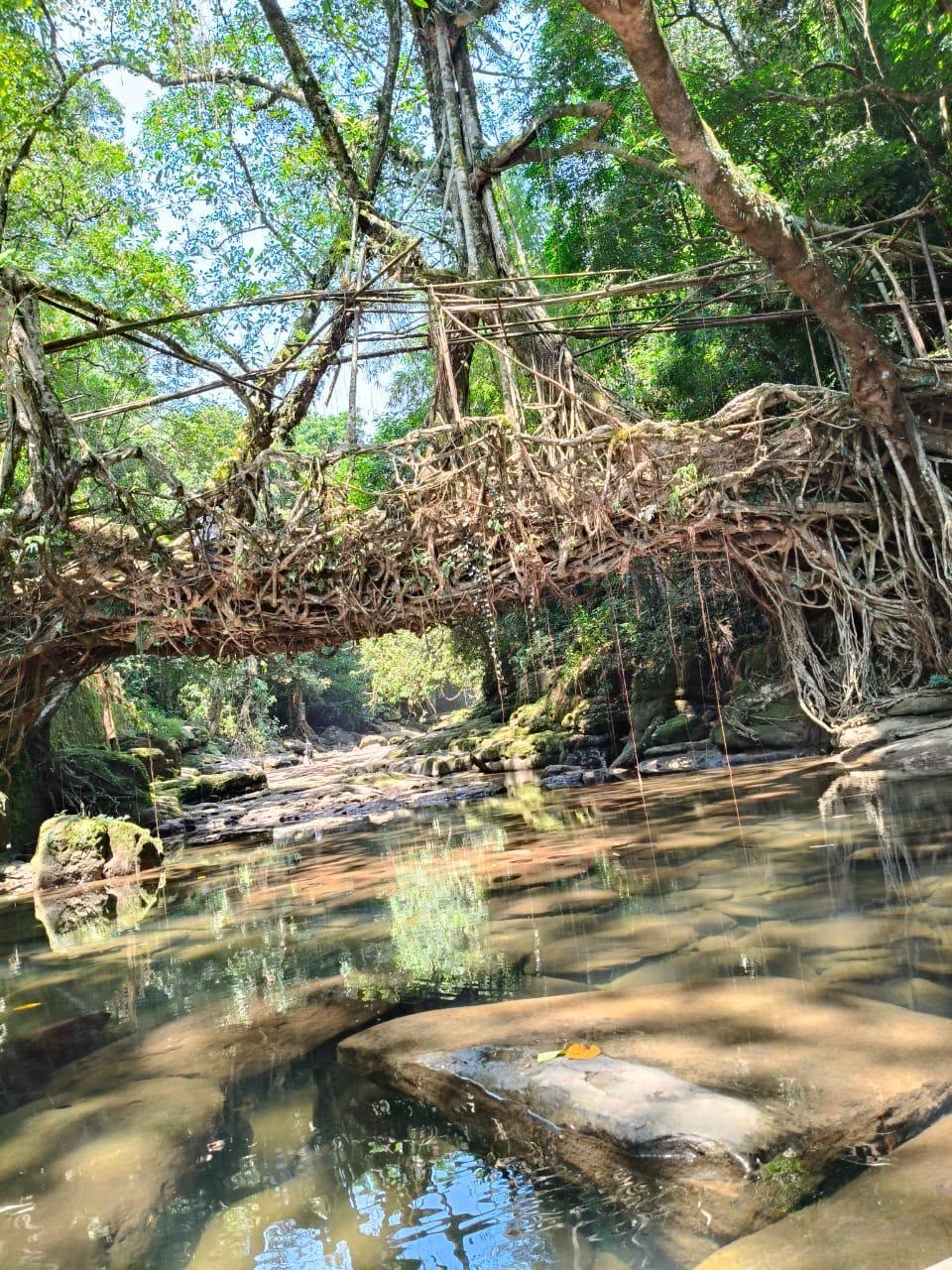 5 Days / 4 Nights Meghalaya Tour