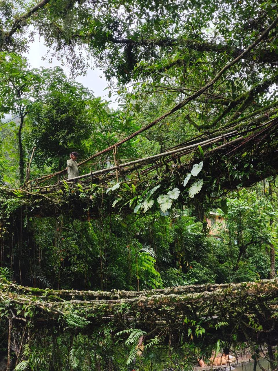 5 Days / 4 Nights Meghalaya Tour